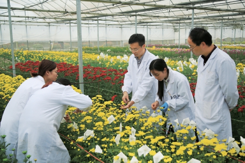 “南農實踐”探索高等農業教育高質量發展農業科學研究和試驗發展